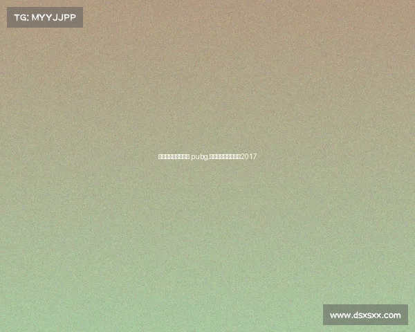 全国电子竞技公开赛 pubg,全国电子竞技公开赛2017